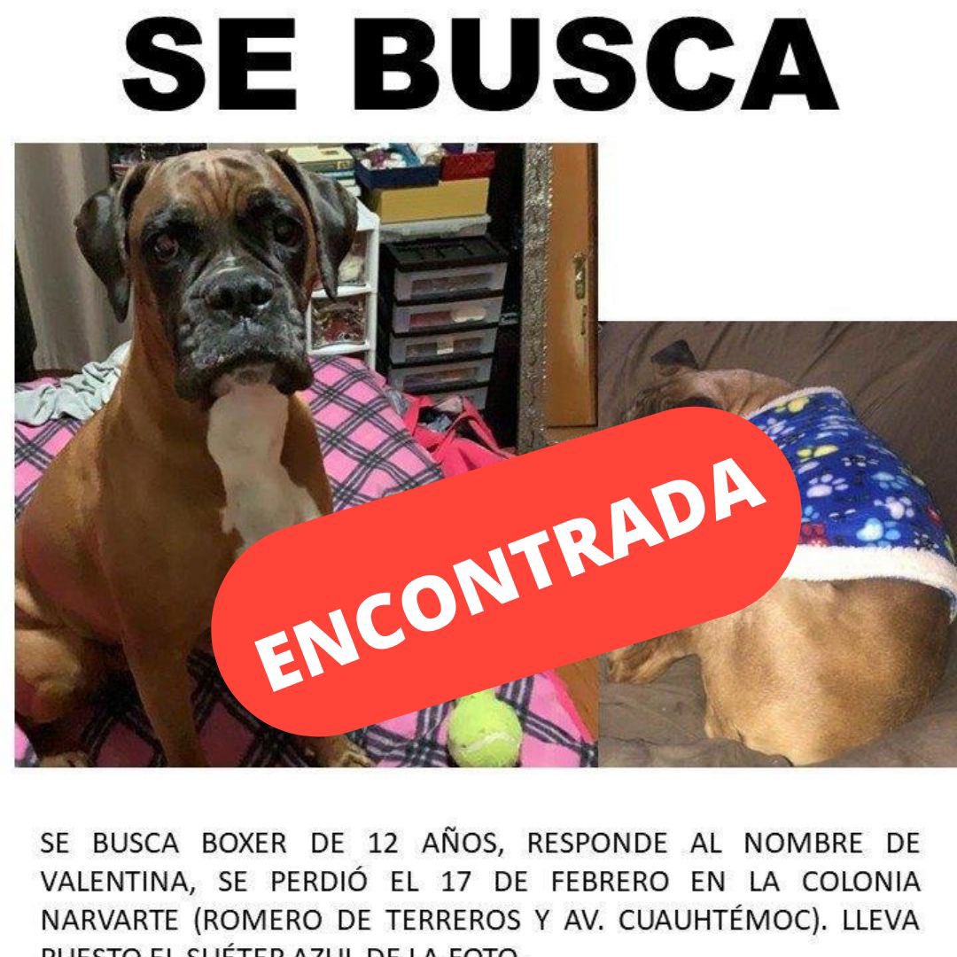 LizzyAuna's tweet photo. @Cz1Panda @NarvarteVecinos @En_Narvarte @_Narvarte @ColNarvarte @Narvarte_ @VertizNarvarte https://t.co/zaWgmor6GH