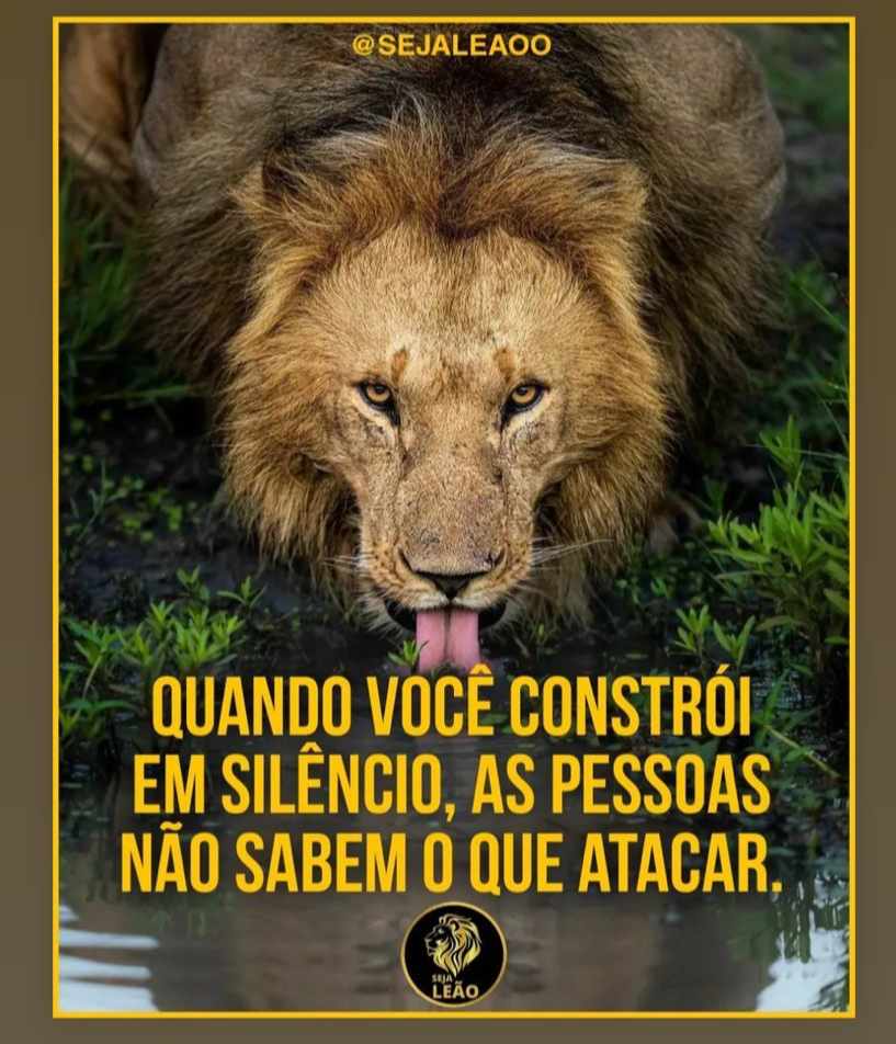 wallacefontes's tweet photo. https://t.co/3dStRyZDRL
