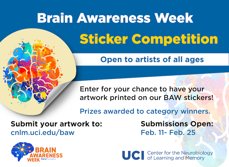 Calling all artists! The CNLM Ambassador K-12 committee and the So Cal Youth Neuro Assoc (<a href="/scyna_uci/">scyna🧠</a>) are hosting a Brain Awareness Week Sticker Competition! Submit your artwork for a chance to win $50 &amp; have your art printed on *actual* stickers!🧠🎨
cnlm.uci.edu/baw/