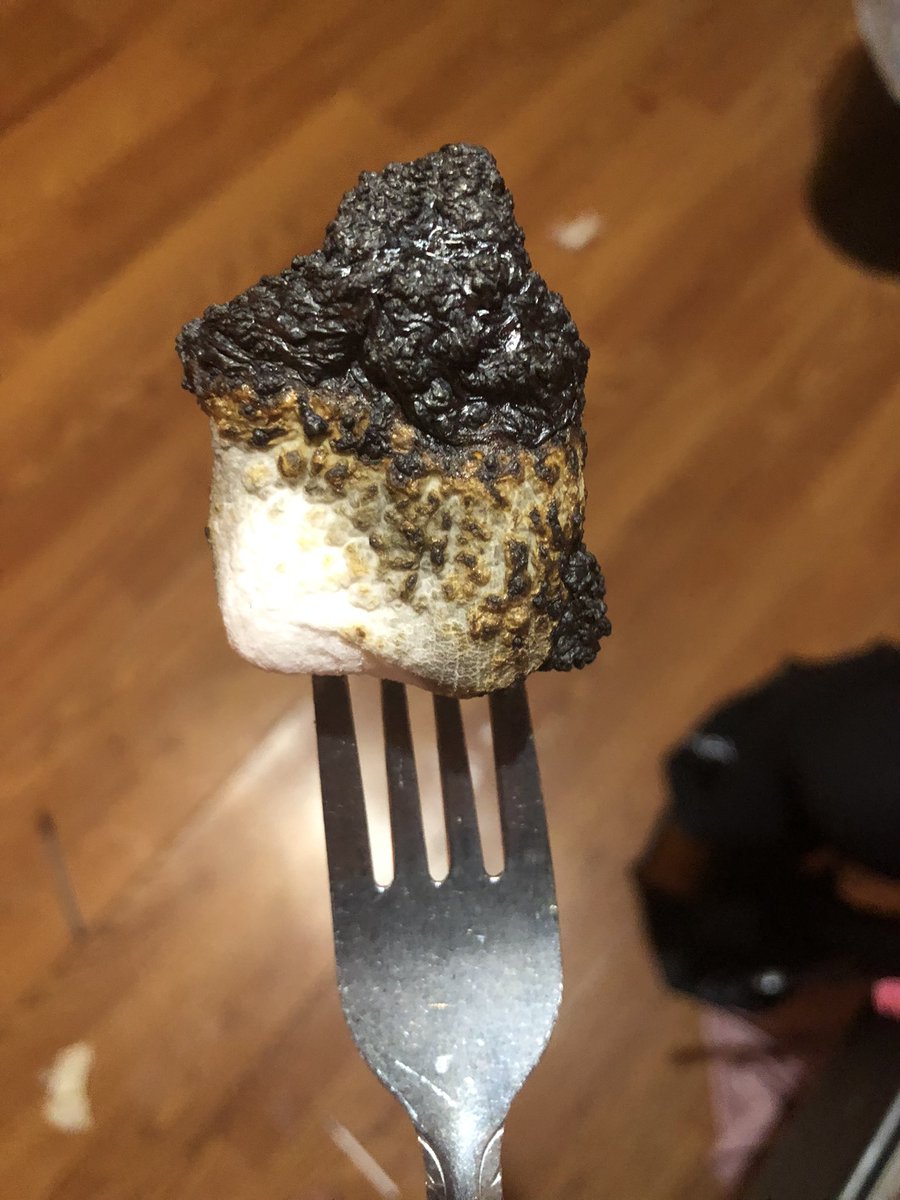 xXError_DogexX's tweet image. I burn marshmallows
