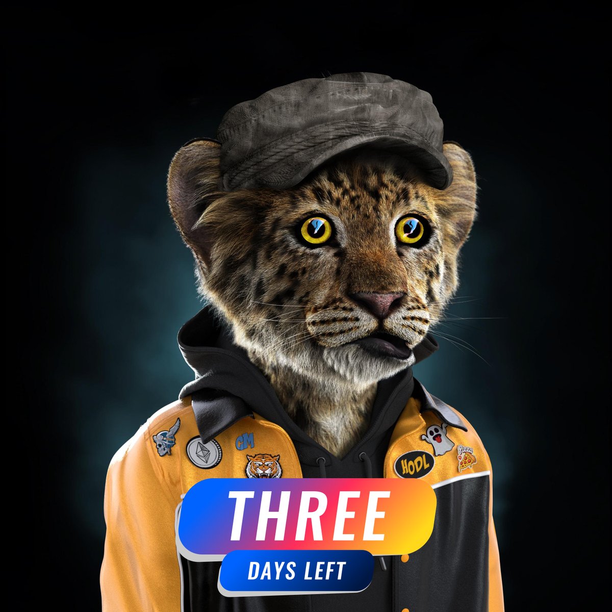 TheRoyalCubs's tweet photo. 3 Days Left to Sweep and #HODL 🧹️🧹️🧹️

Only three days left in the Sweep and HODL challenge.

💯 secondary sale = all royalties given back to our sweepers!

To get in on the Sweep and HODL, join the Discord.

https://t.co/acnOW32RKx

#NFT #NFTCommunity #SpreadTheRoar https://t.co/sNuIN1BKzP