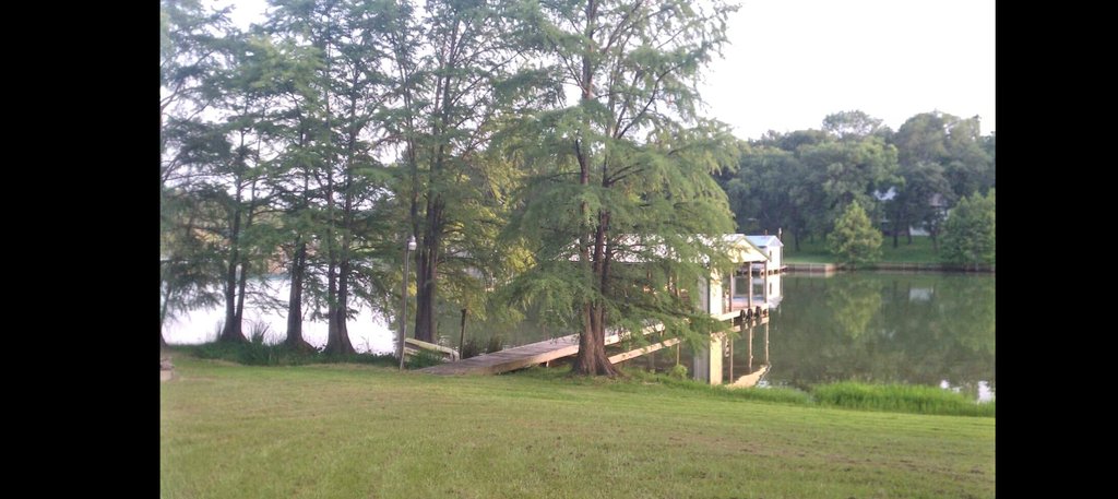 BastianCSTX's tweet photo. Spending the weekend at the lake house with my penis. Anyone up for a lake bate date? LOL! https://t.co/KutWepvcjm