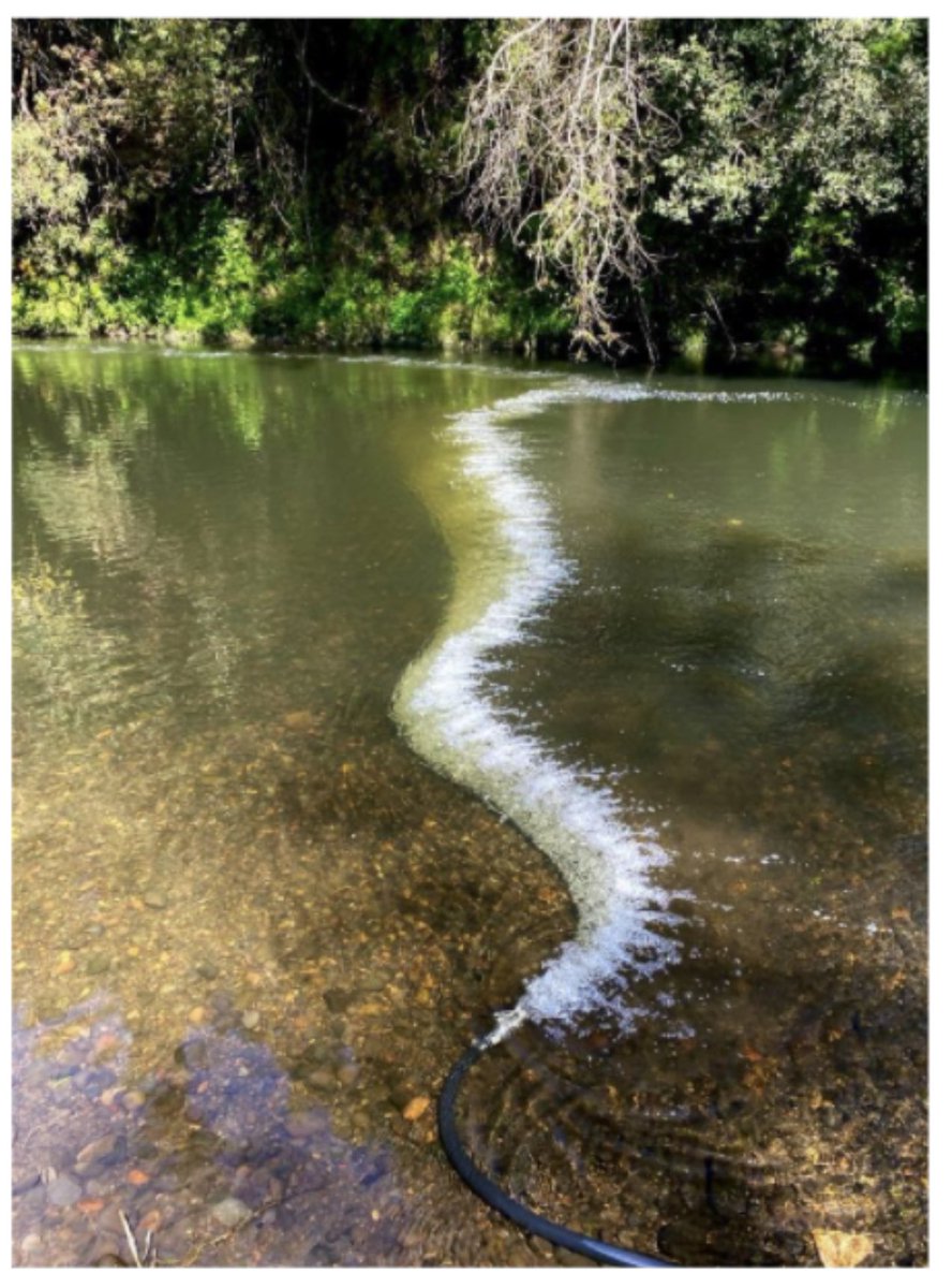 Eliminar plásticos de los rios: Cortina de microburbujas redireccionan los plásticos hacia un colector 👉 ulagos.cl/2022/02/barrer… #NaucoSpa @MarCentro @CeBiB_Chile @ULagosOficial @cienciaulagos @CorfoLosLagos