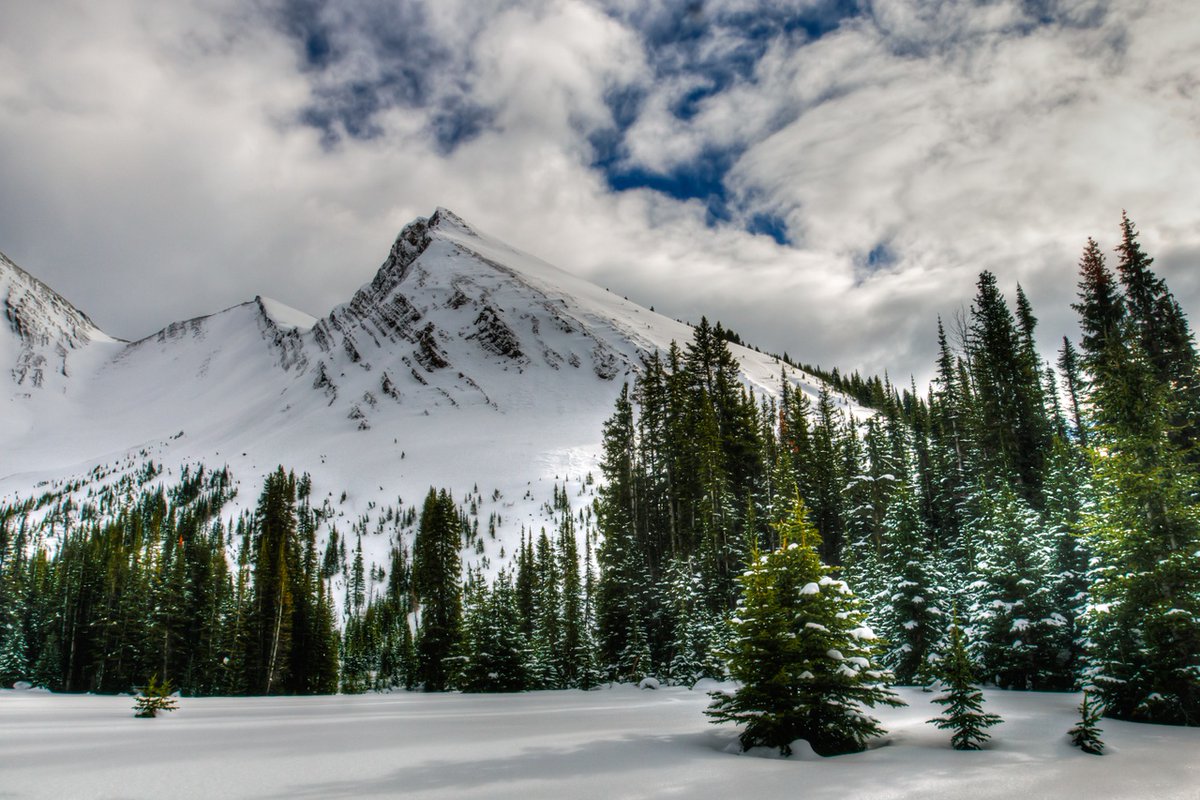 Check out this AMAZING view 😍 One of our writers, Phillip Gary Smith, reviewed "#Snowshoeing in the Canadian Rockies," by Andrew Nugara. Read the review about this must-have book about Nugara's snowshoe mountaineering adventure. snowshoemag.com/2015/12/25/whu… #SnowshoeMag