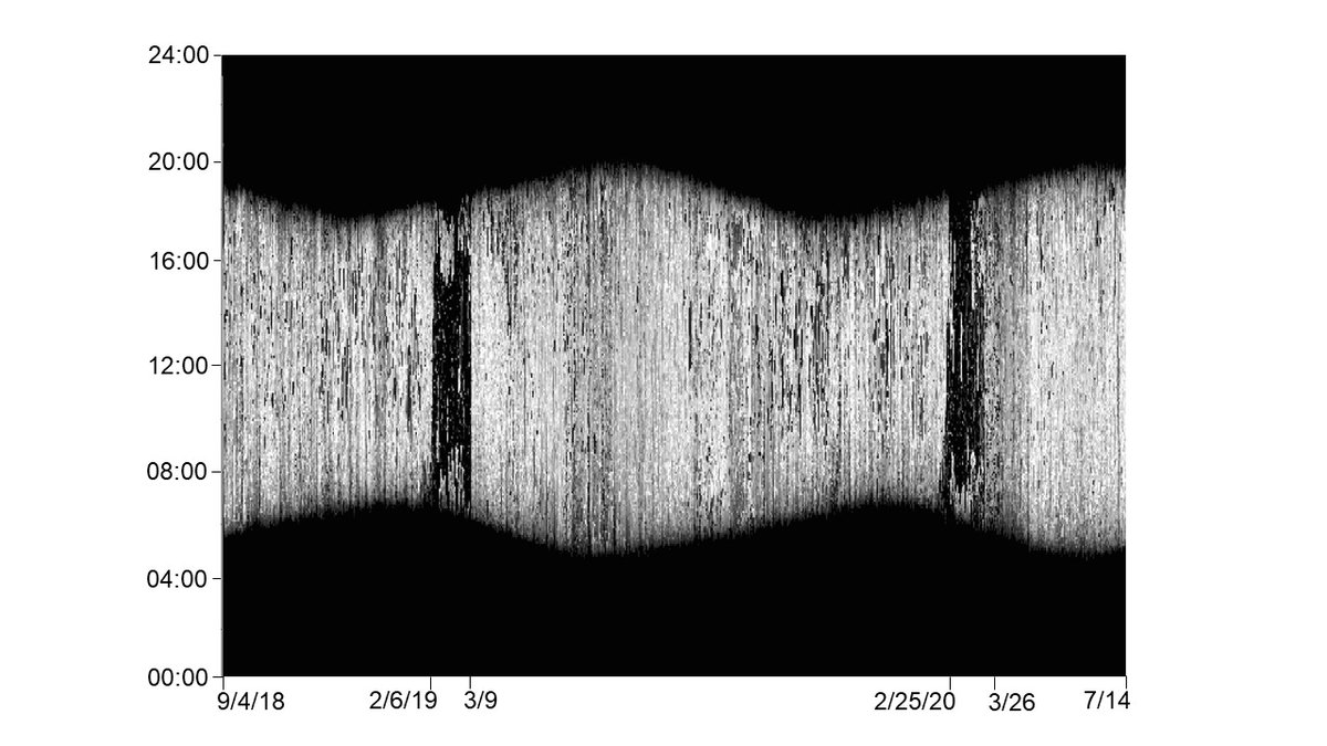 Kevin Ringelman tweet media