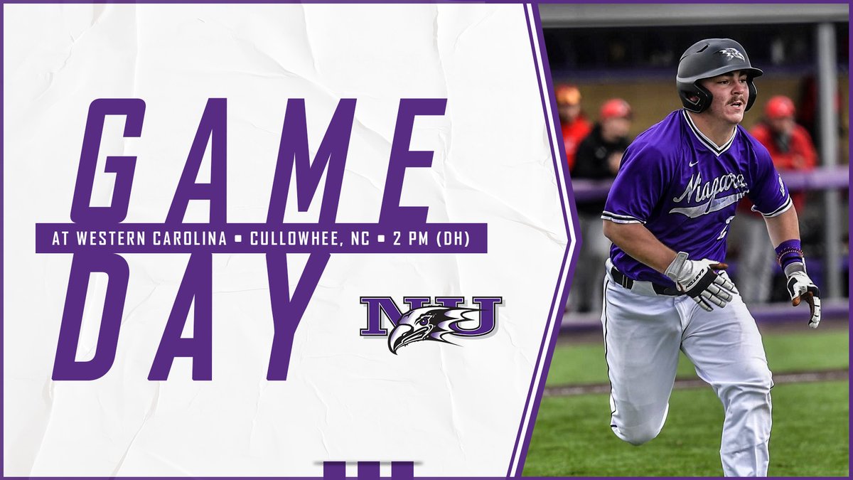 Niagara Baseball tweet media