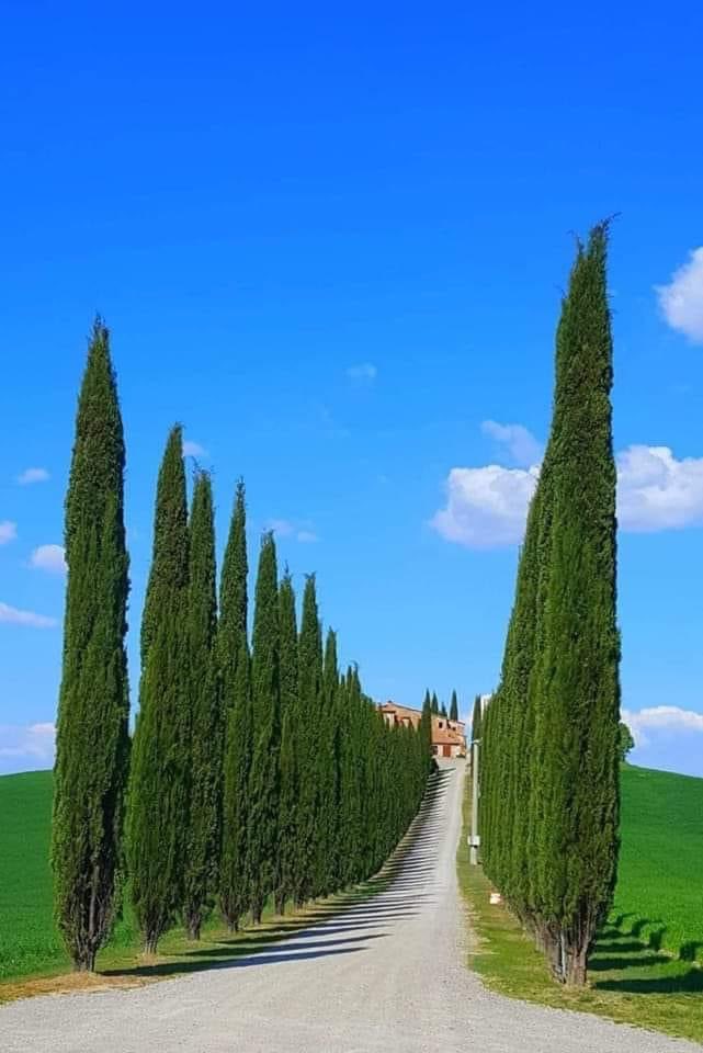 chiarabarbagli's tweet photo. "In Toscana non si capisce se a dipingere sono i pittori o i contadini" 
(Indro Montanelli) https://t.co/xyZLFkRVLG