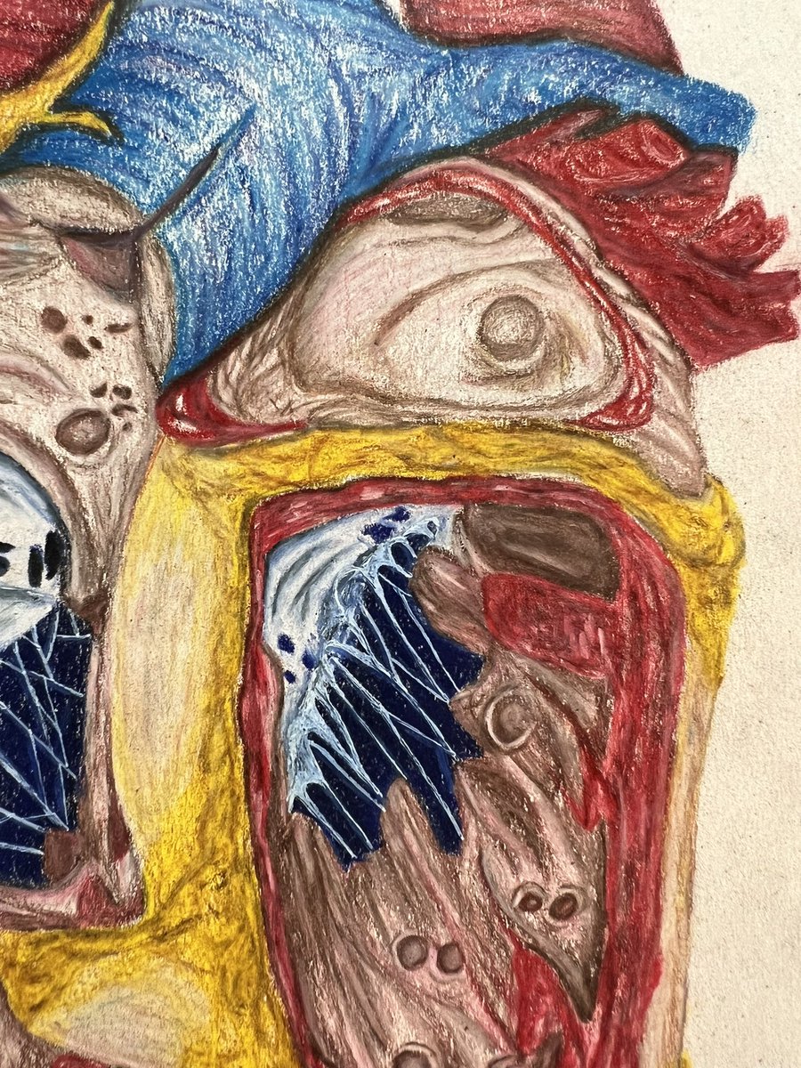 lyss_baker_'s tweet photo. so so proud of this heart. done in colored pencil! https://t.co/FcEHNpUNY6