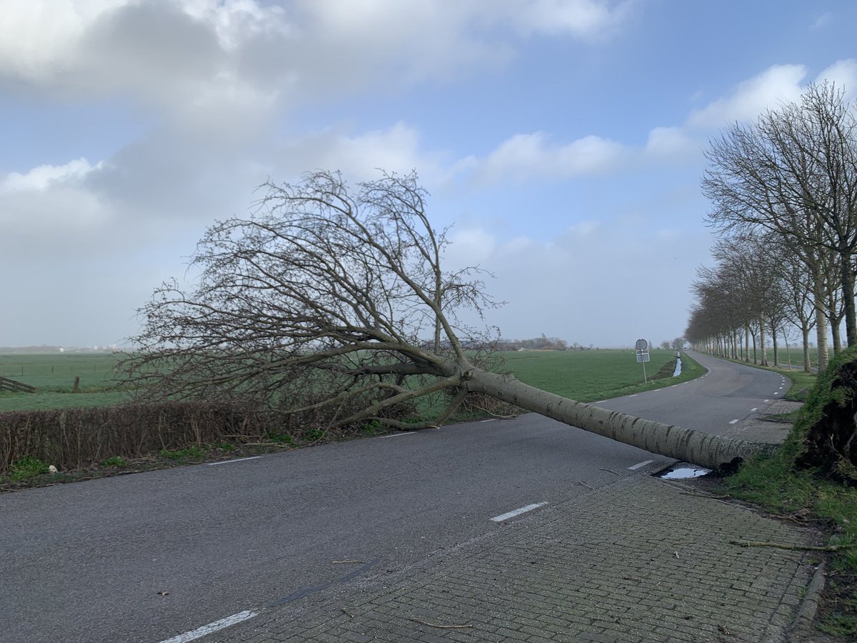 Mirjam Ates tweet media