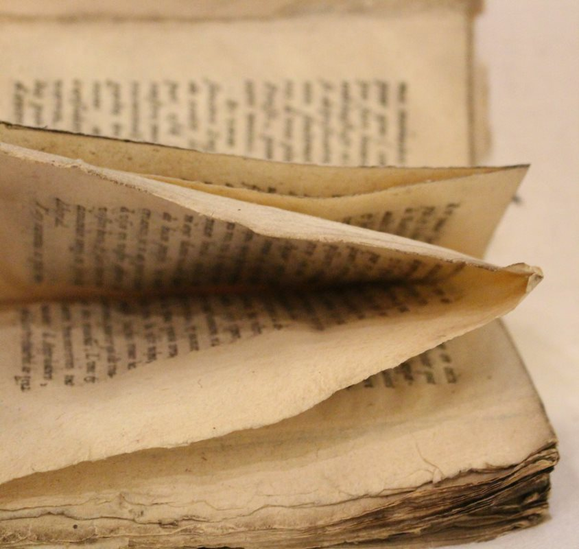 cosinslibrary's tweet photo. U is for uncut leaves.📜
When books were bound, paper sheets were folded and cut so that the book could be used. Uncut leaves suggests that not everything in the library was read! (Cosin X.6.33)
#library #history #book #speccoll #archives https://t.co/VZ7NQXiFkM