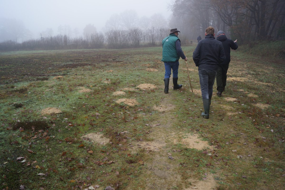 GRotgers's tweet photo. De kritische depositiewaarden zijn niet geschikt voor het beschermen van de Nederlandse natuur. Dat blijkt uit onderzoek van Matt Briggs (@FamedCelebrity) en Jaap Hanekamp, dat deze week werd gepubliceerd. #stikstofbeleid

https://t.co/LgF7IfP9Ro https://t.co/nwgYqvdb9w