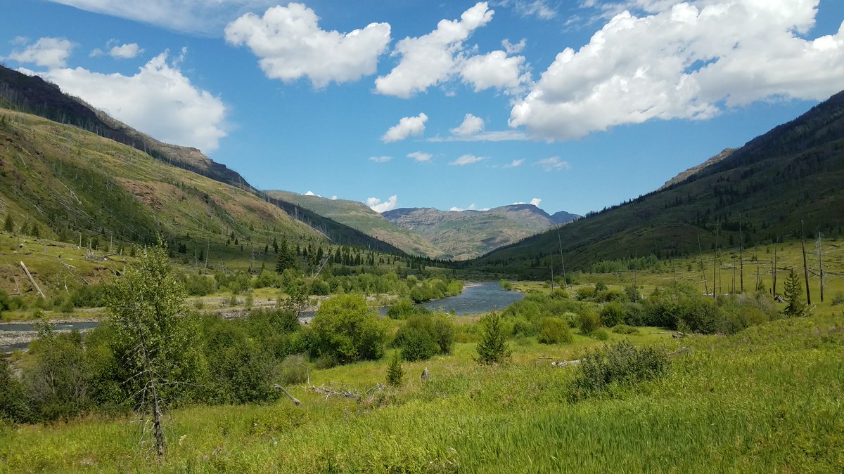 ShoshoneNF's tweet photo. Are you planning your summer vacation to come visit us or our neighbors @YellowstoneNPS, in northwest Wyoming? The #ShoshoneNF has over 30 developed campgrounds, many more undeveloped camping areas, and over 2.4 million acres to explore! Learn more: https://t.co/01KSF7xaol https://t.co/rUZ9mmlm9s