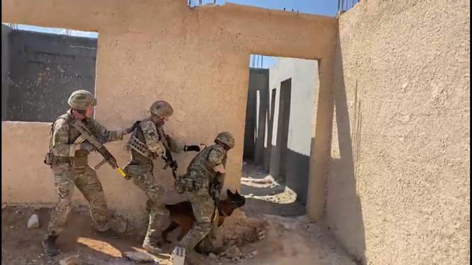 CO_2RIFLES's tweet photo. The second phase of B Coy’s training in Jordan has begun.
5 Pl were training in the urban village in order to develop their skills for the TACEX next week.
#Teamwork #UrbanTraining
#Respect #LaserFocusedOnWinning
#dogsoftwitter
@UKinJordan @RiflesRegiment @1UKDivision https://t.co/UV3qR1L0Tz