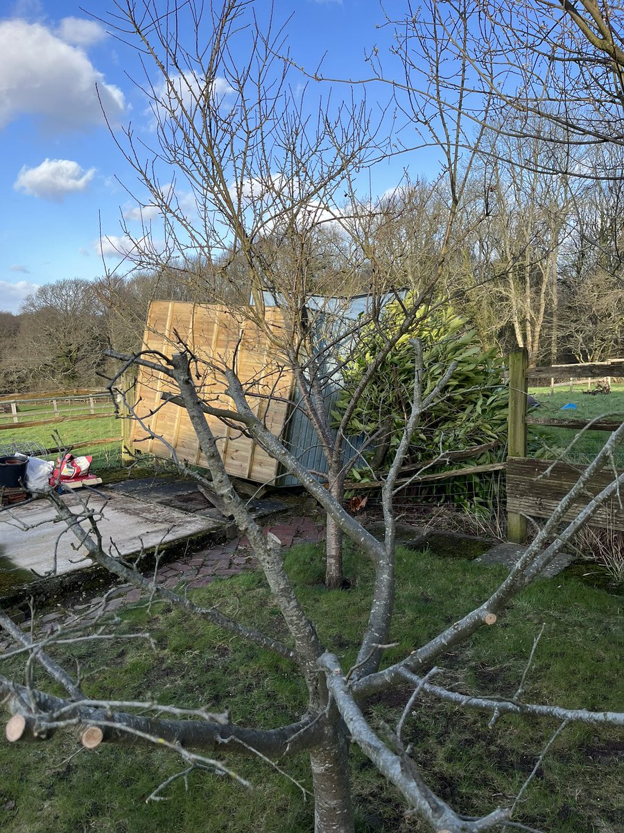 Alison Young ® tweet media