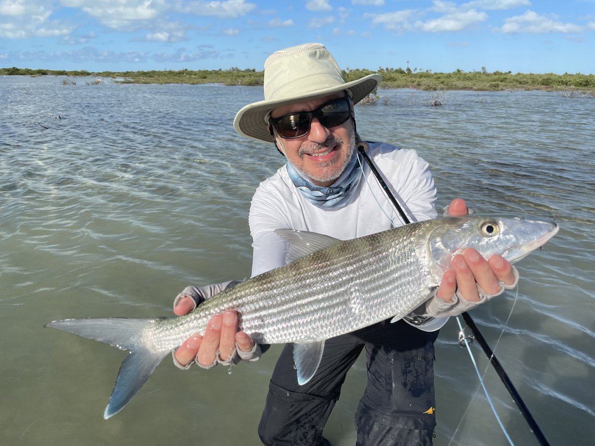 JamesGreiff's tweet photo. @BarumDean @D_Blanchflower Here's a fish I caught wading in 18 inches of water https://t.co/2kRQwonOgz
