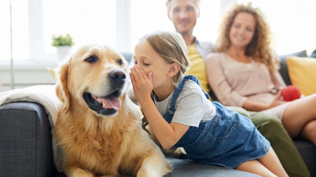 BuddyVpets's tweet photo. What do you think she whispered in his ear? Tell us in the comments. https://t.co/ME2frXEFuz