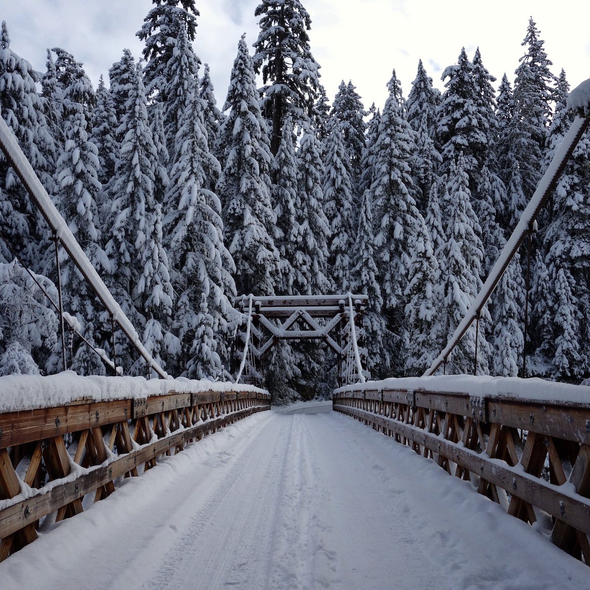 MountRainierNPS tweet media