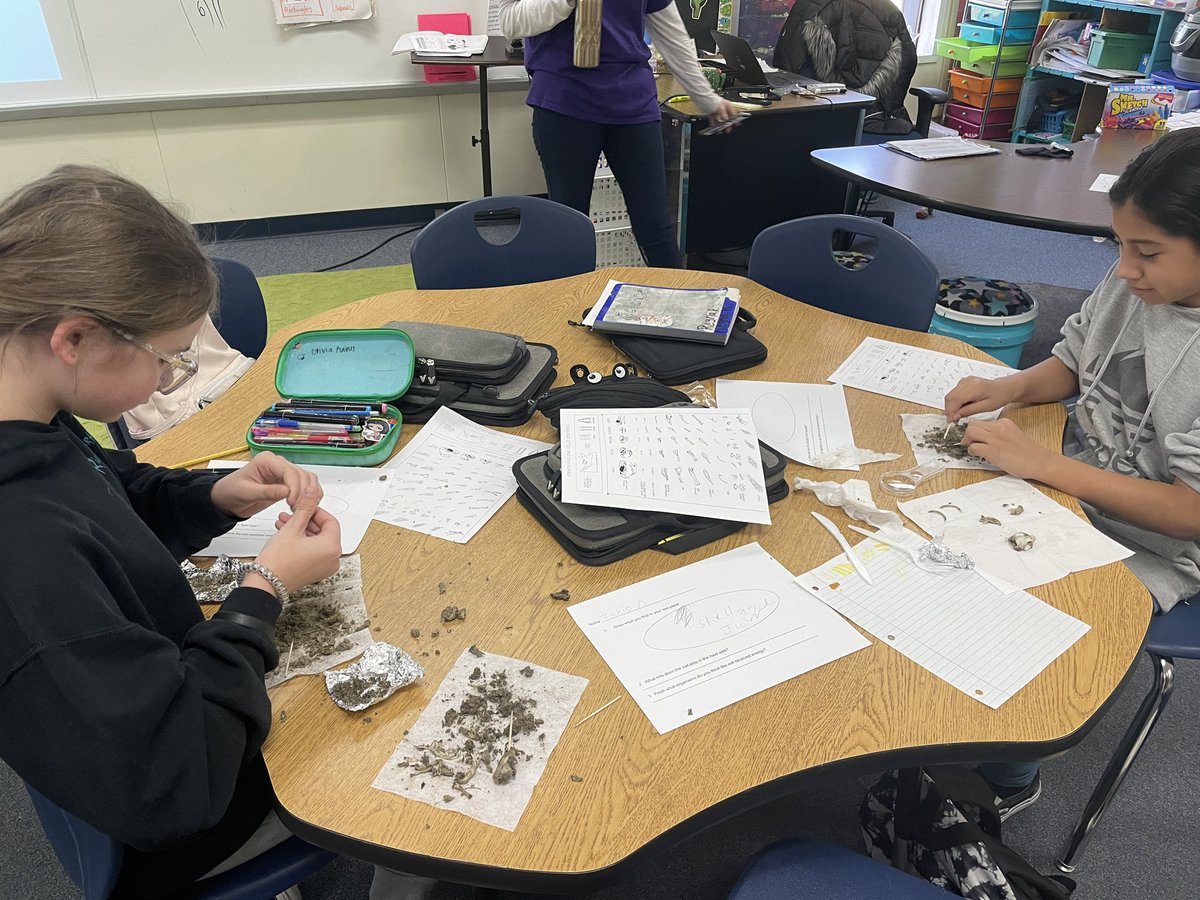 kelmoore23's tweet photo. Ss learning about food webs and the flow of energy through owl pellets (vomit 🤢) #highlevelsoflearning #engagedstudents thank you, @MelissaJcrowder for the fun lesson! https://t.co/Nsibb8jaxm