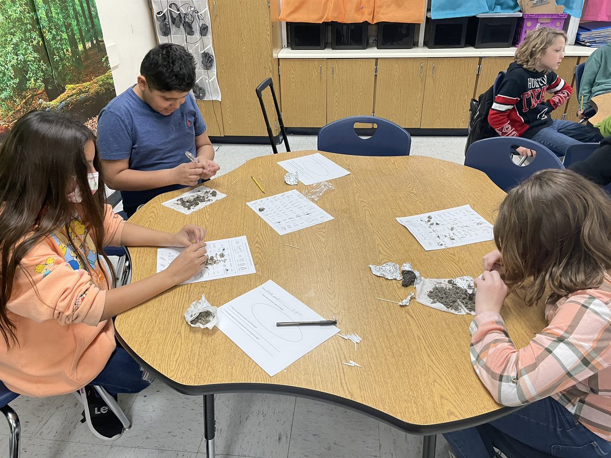kelmoore23's tweet photo. Ss learning about food webs and the flow of energy through owl pellets (vomit 🤢) #highlevelsoflearning #engagedstudents thank you, @MelissaJcrowder for the fun lesson! https://t.co/Nsibb8jaxm