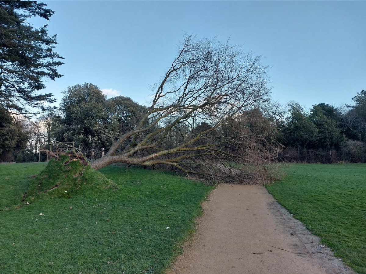 We have cancelled tomorrow's parkrun. The photo below might in part explain why! 
The Foodbank collection will take place next week instead. 
Stay safe parkrunners.