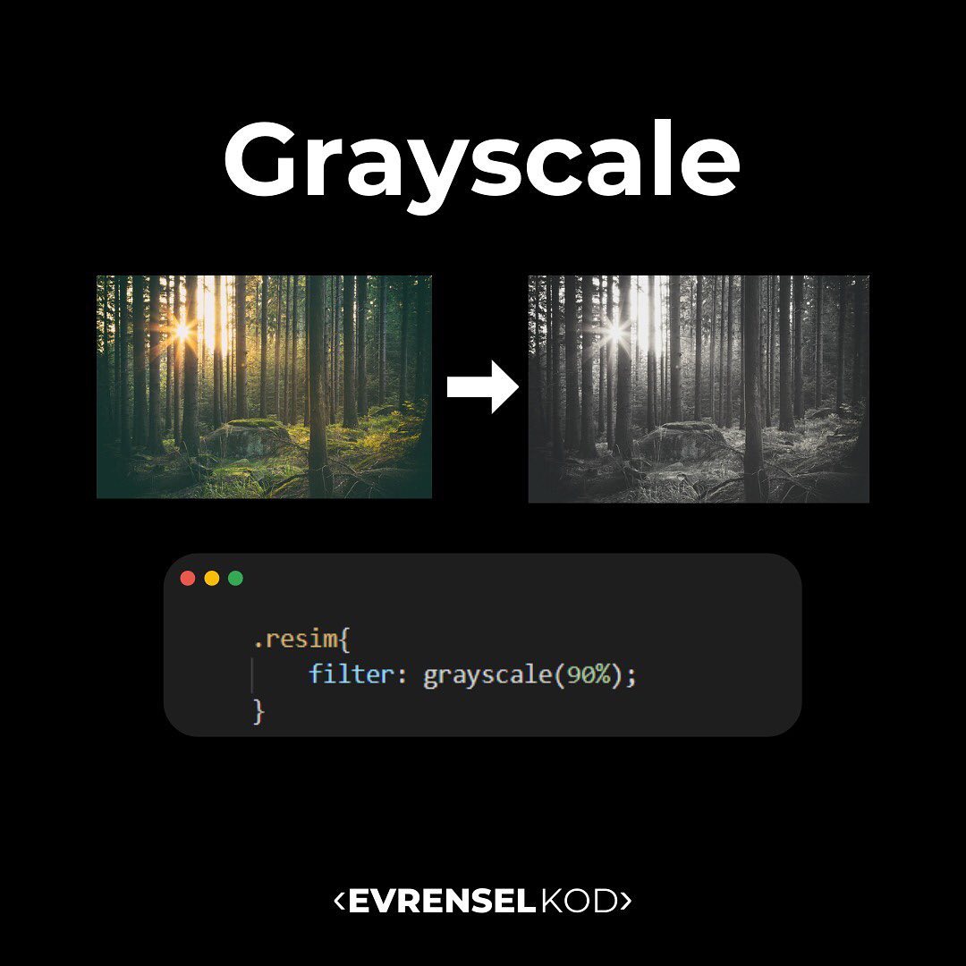 Bilmeniz gereken CSS efektleri 👌🏻

#Teknoloji #yazılım #css #programlama