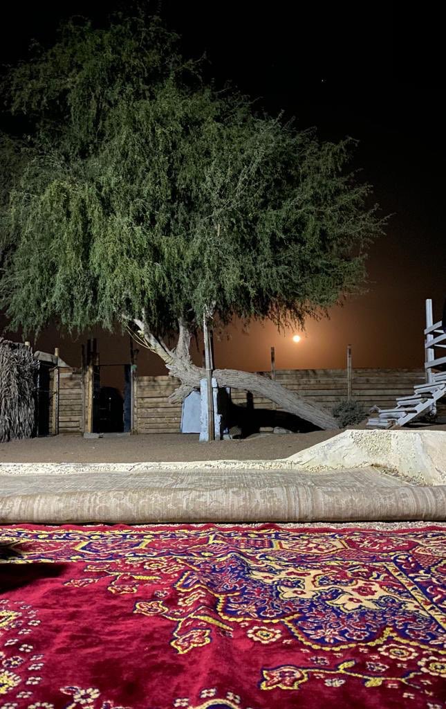 ماكل قمرا  يجتمع فيها الاحباب
نور القمر أحيان.....ذكرى أليمه