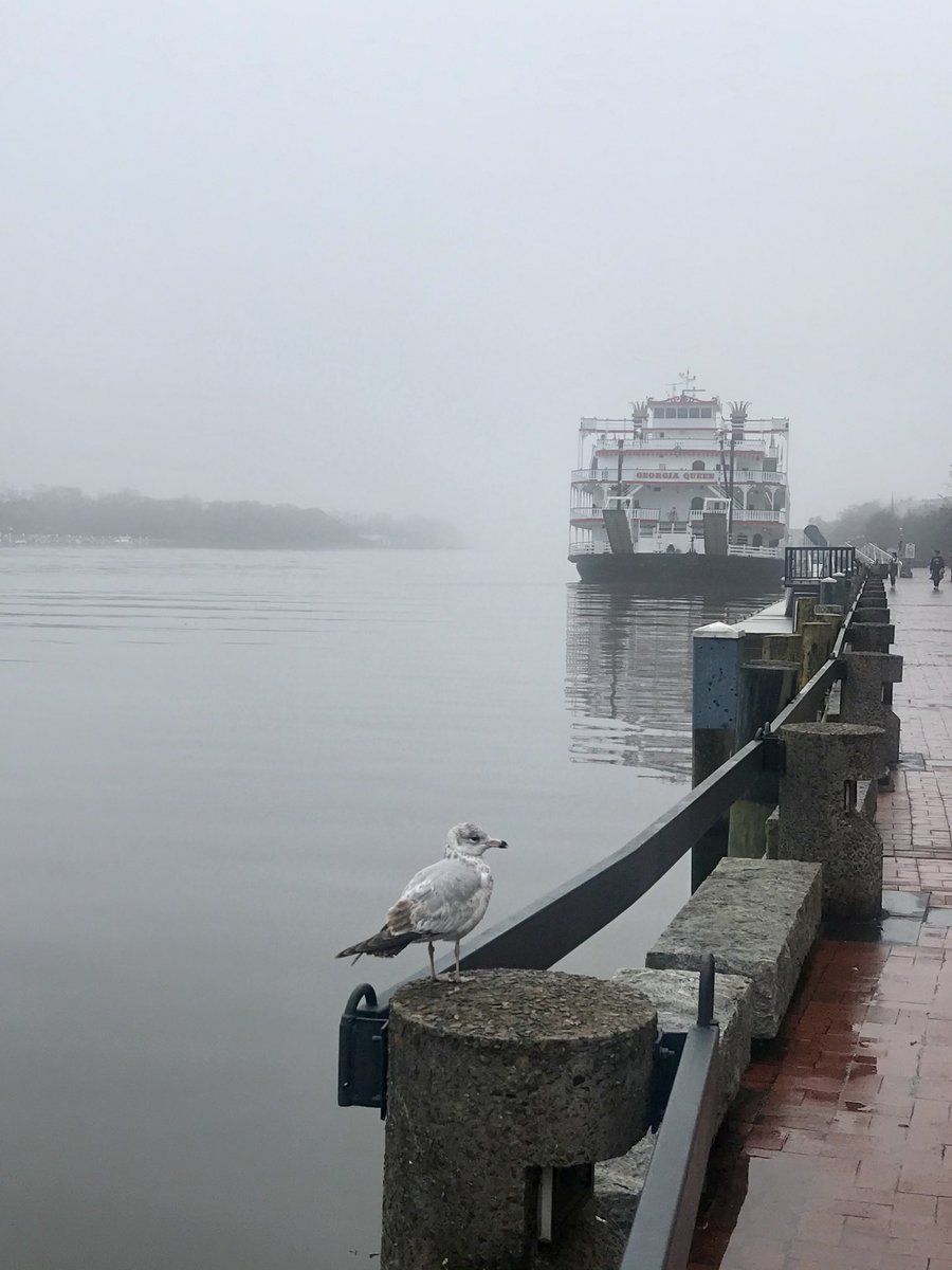 MailynSpeaks's tweet photo. Savannah Riverside a year ago … it was a thing of beautiful, foggy and mist included. 

#TravelingMomMusings #UndocumentedWidow #GriefJournal https://t.co/yVMWc7zM35