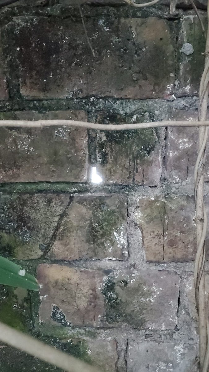 CaruSomoza's tweet photo. Los negociados inmobiliarios no solo destruyen propiedades que hasta podrían ser consideradas patrimoniales. También destruyen las propiedades lindantes porque se hacen de manera DESCUIDADA. En Colegiales le ROMPIERON la medianera a una vecina y NADIE se hizo cargo https://t.co/d3BCSoCkmt