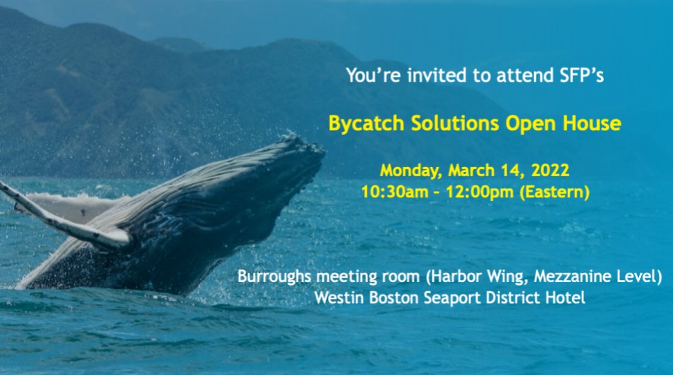 Please join SFP's Practicing Ocean Wildlife team at our Bycatch Solutions Open House at <a href="/SeafoodExpo_NA/">Seafood Expo North America</a> ! 🐢 🐬

We will be exploring the latest gear innovations and bycatch solutions for addressing fisheries interactions with endangered, threatened, and protected species.