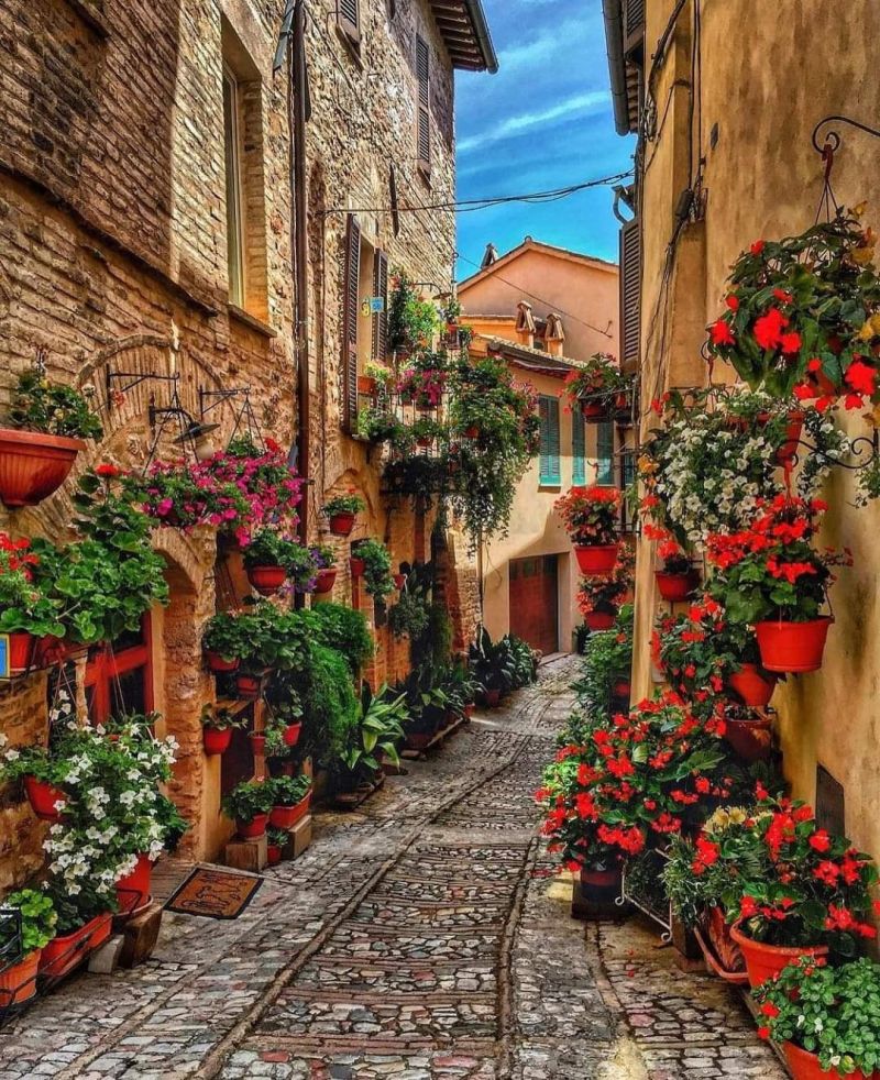 eluxurytrip's tweet photo. Spello, Italy 🇮🇹
For more stunning destinations follow us @eluxurytrip 
#travel #travelphotography #worldtour #italy #colorfulstreet #eluxurytrip https://t.co/vn2Y0uDHos