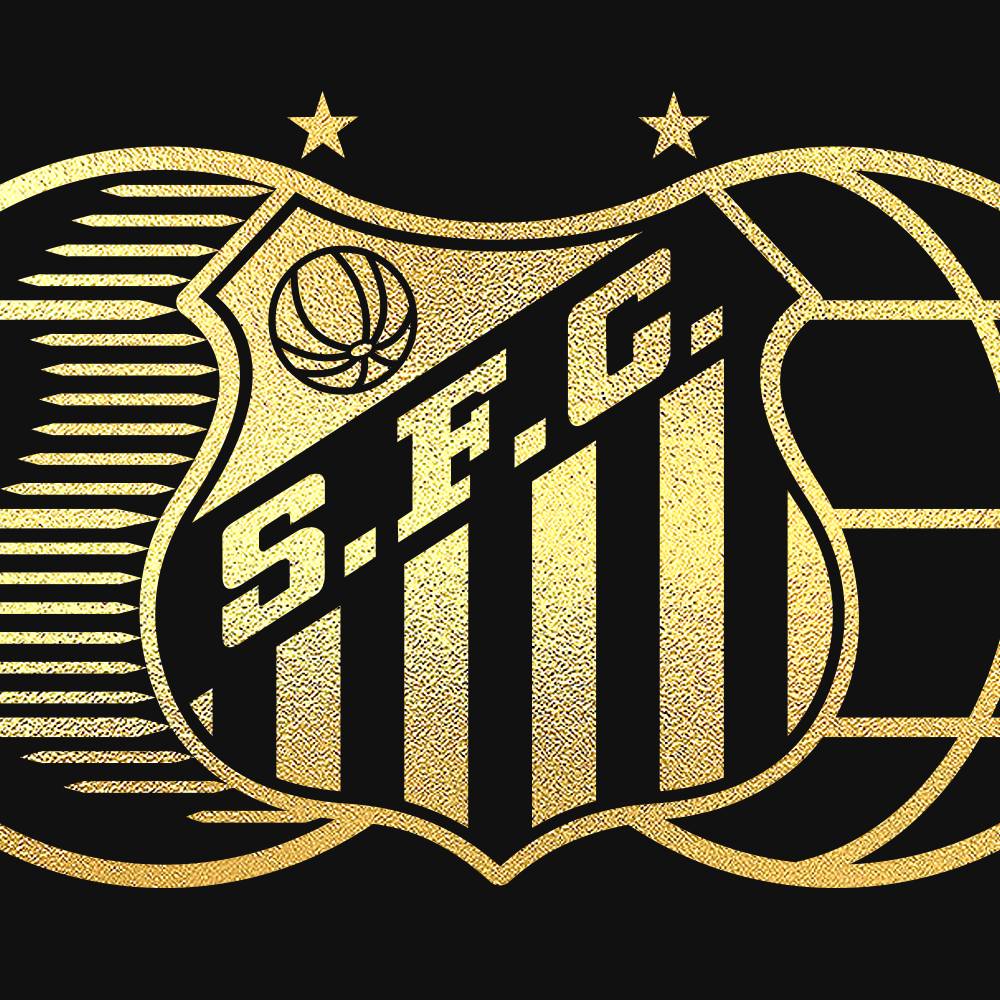 #SantosDoMundo on Twitter: "O Santos FC comunica que Fábio Carille ...