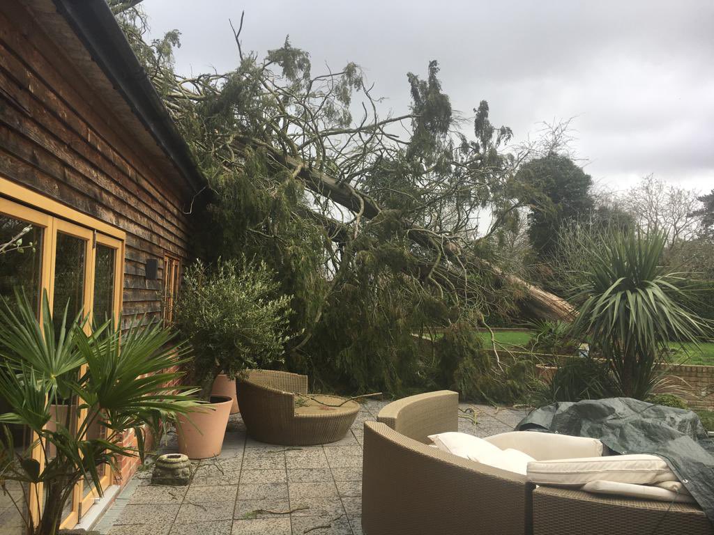 involve_uk's tweet photo. Tree fell onto my parents house through roof into the bathroom while mum was having a shower. Good job she wasn’t drying her toes 😳 #StormEunice https://t.co/T3iNao4wDu