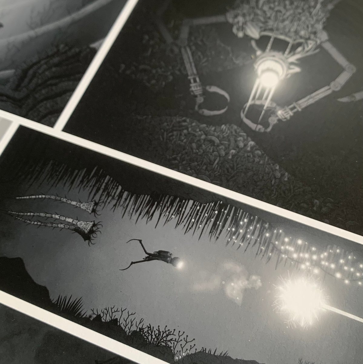 helloblue tweet media