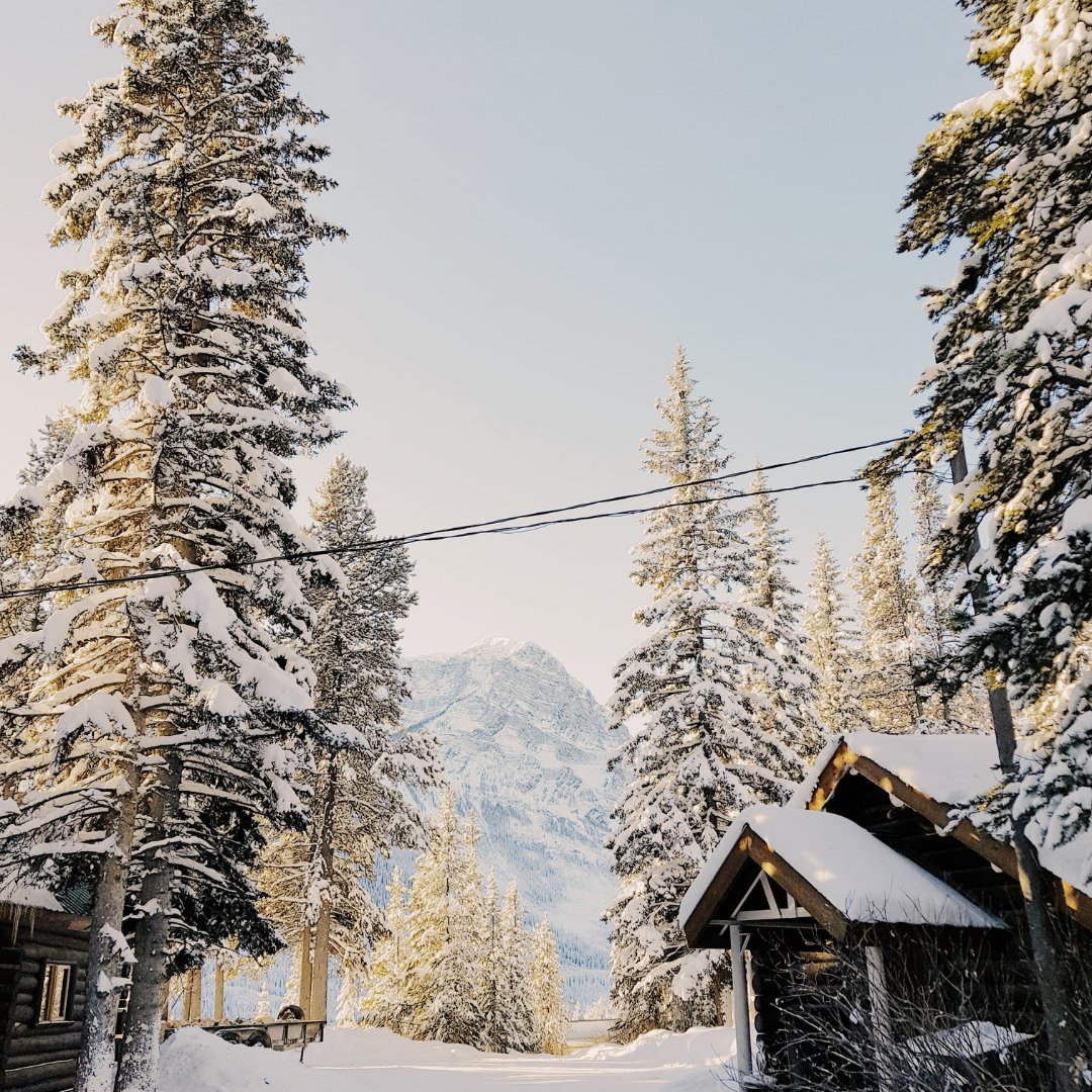 LatexBio's tweet image. Laquelle de ces activités préférez-vous faire à la montagne 🏔❄️ ? 
Ski ⛷ 
Snowboard 🏂 
Raquettes de neige 👣
Luge 🛷 
Farniente au spa 🧖‍♀️ 
Lecture au coin du feu de cheminée 🔥