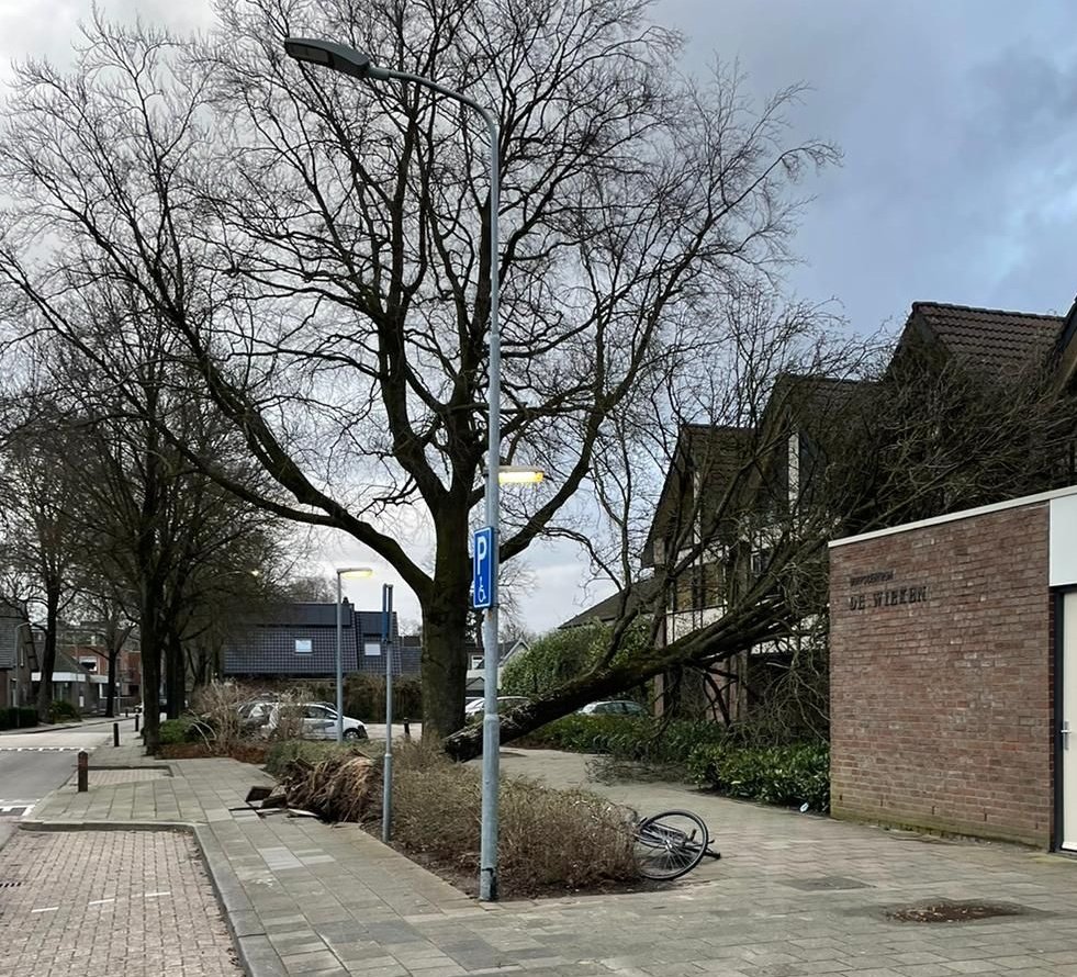 Een boompje hier, een boompje daar. Zo is het wel weer genoeg! #StormEunice #storm #Vaassen