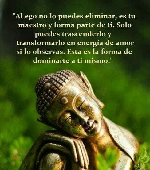 Adl24H's tweet photo. Crecimiento #espiritualidad https://t.co/LyC8syePPq