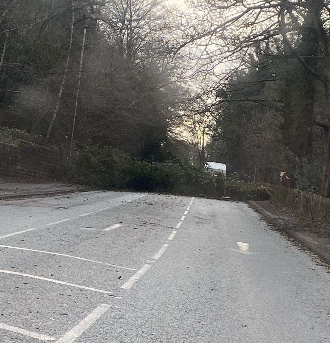 Another tree down on Dunham Road, close to Denzell Gardens.

This is the second large tree to fall across the road in three weeks.

📸 Lianna Thompson #altrincham #StormEunice