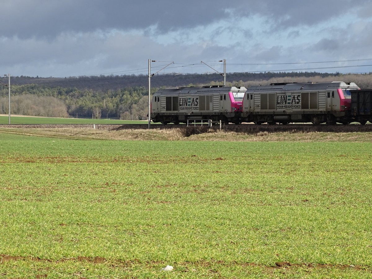 BONNIN1402's tweet photo. de l'#orge aussi jaune que certaines loc autour de Dijon
#FretSNCF et #SNCFInfra à Gevrey et @LineasForce au #pk343 à Gemeaux
2/5 https://t.co/j98uEIjz80