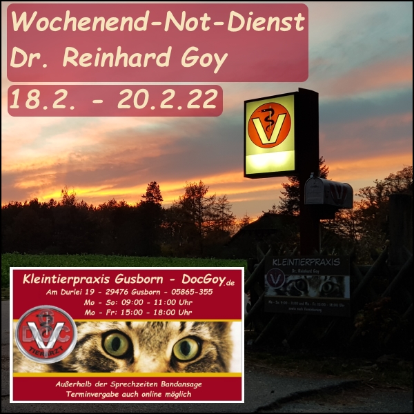 VetGoy's tweet photo. #Notdienst #Tierarzt |  18.2. - 20.2.22 Dr. Reinhard Goy - Gusborn - 05865-355  | Weitere Infos und online Terminvergabe unter: https://t.co/Rabb82LUfN #Kleintierpraxis Gusborn - DocGoy  #Wendland #Elbtalaue https://t.co/yPZOmfRXwD