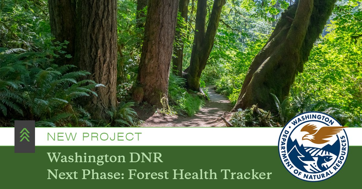 ESASitka's tweet photo. ESA Sitka is beginning a new phase of work with @waDNR to enhance the Forest Health Tracker web application (https://t.co/0TJjGyYLGh), including upgrades for Service Forestry data management and geospatial data sharing. https://t.co/UYazdn5ZSX