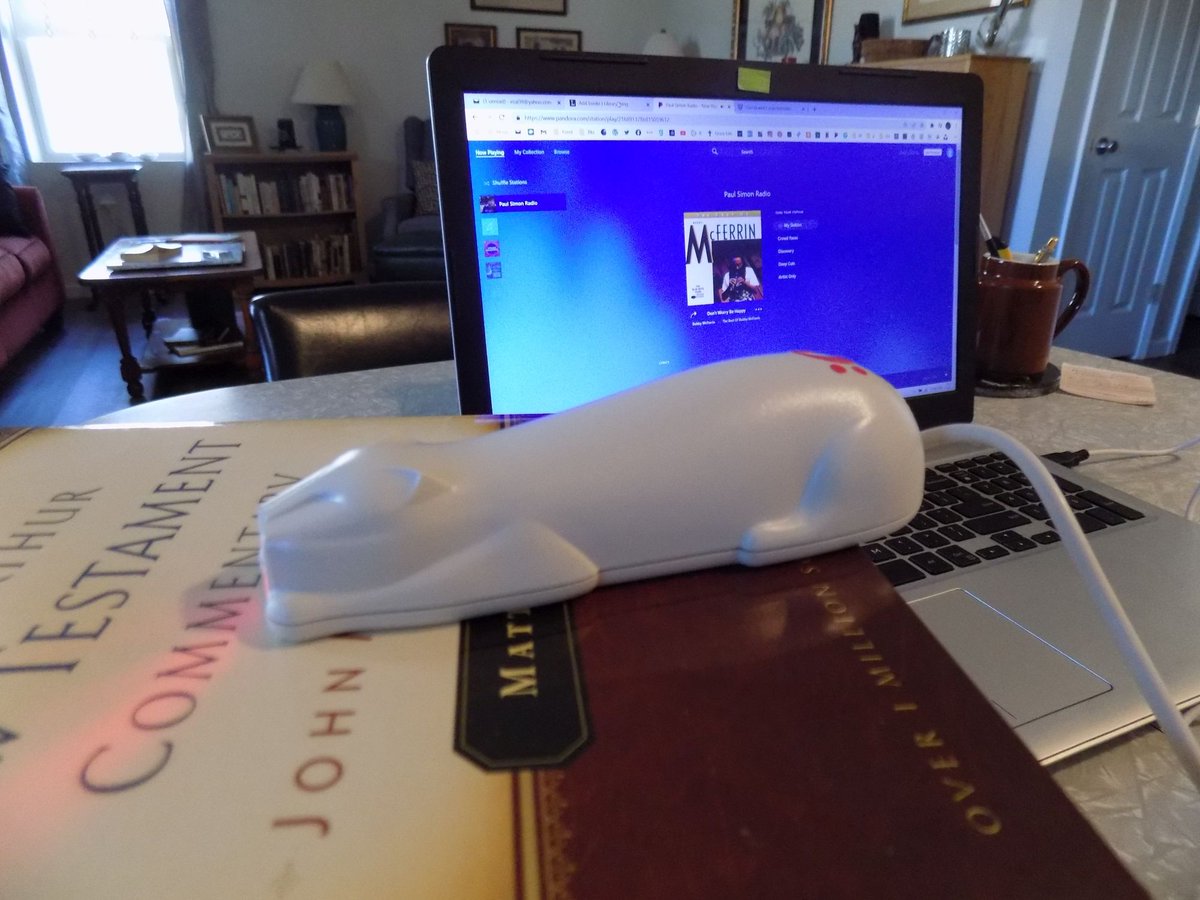 elizabethprata's tweet photo. Happening now: 1st day of Winter Break from School- I'd made a decision to inventory all my books. I am using :CueCat with LibraryThing and it's going great! Music on (70s Jim Croce, Paul Simon, Billy Joel). I'm alone in the building so the volume is UP. #HappyGeek https://t.co/3FbYw8sNeD