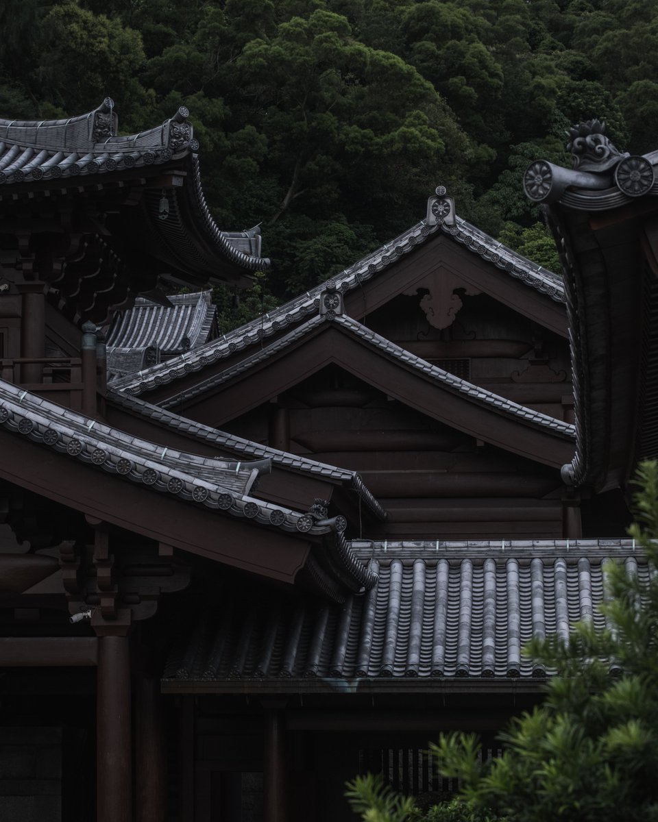JimmyWongNft's tweet photo. #NFTCollection #NFTartist #NFTCommunity #nftphotography #NFT #NFTs #CleanNFT #SolanaNFT #photographyislife  #photographylovers #PhotoNFTs #HongKong #NFTdrop #NFTProject #NFTProjects https://t.co/QoRMpI0tMP