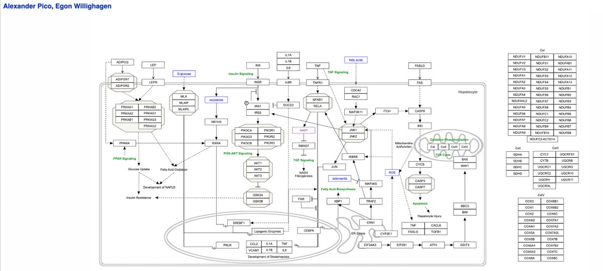 andrawaag's tweet photo. That link points to the original pathway in #Wikipathways, which can then be explored through their #SPARQL endpoint: https://t.co/XFQTPcWsBG https://t.co/yQBSLNbhJH