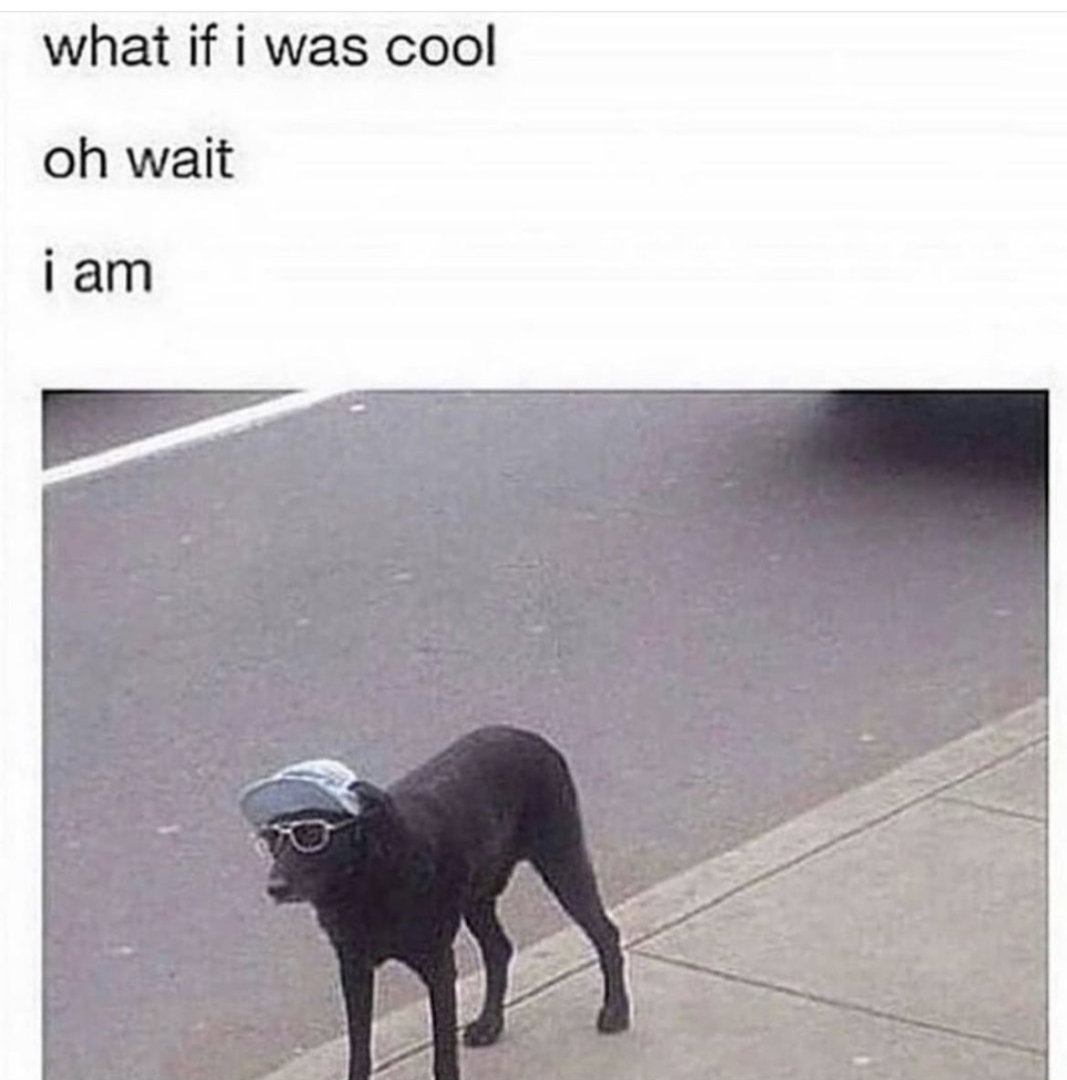 WholesomeMemes (@wholesomememe) on Twitter photo 