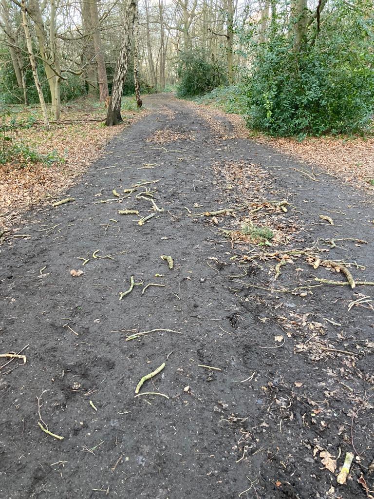 BethlemRoyalHospitalparkrun tweet media