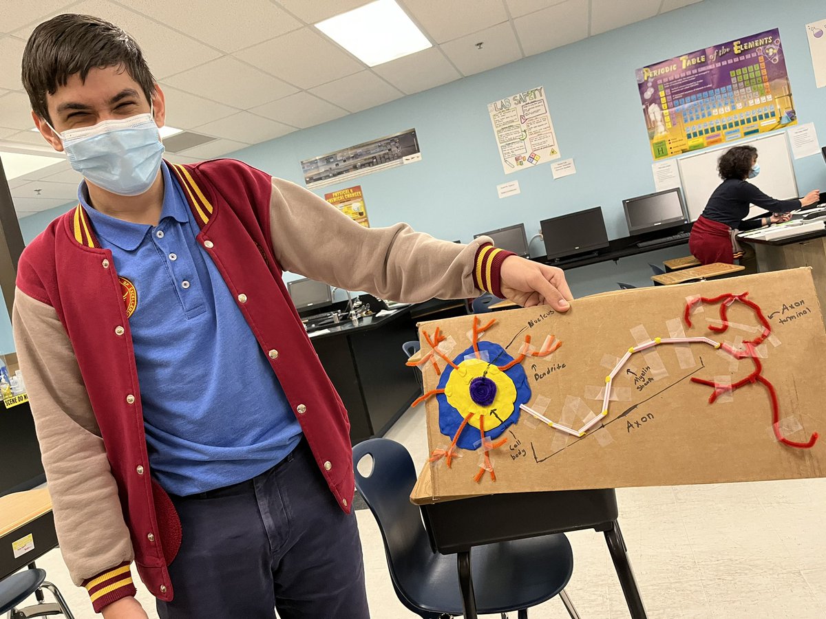 beglisapayev's tweet photo. #ABQSE#PLTW 
Student loved their product, the neuron. https://t.co/K01Q3NTYQh