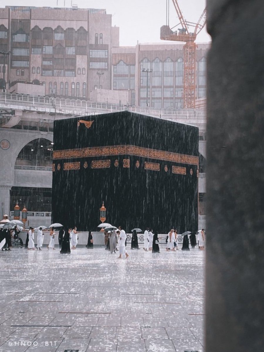 ᴬᴴᴹᴬᴰ | أبو غامد tweet media