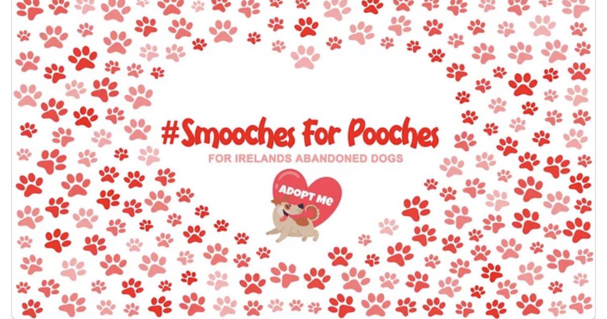 hostandcompany's tweet image. Some of our lovely dog friendly hotels &amp;amp; friends of Host partnered with @TodayFM and @NewstalkFM today to raise money for dog rescues in Ireland. Join us in donating to this much needed cause. Money raised will be split between 9 Irish rescue charities❤️🐶 gofundme.com/f/smoochesforp…