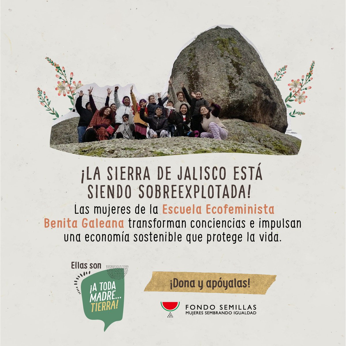FondoSemillas's tweet photo. Hectáreas de 🌲🌳🌲 se deforestan para plantaciones d aguacates. Pero ¿q hacemos para mitigar los efectos q tiene en el medio ambiente? La org Benita Galeana lucha x revertir esta situación y defender la soberanía alimentaria. 
Apóyalas https://t.co/lLRjy5v8o0
#ATodaMadreTierra💚 https://t.co/Ytg0qThpp1