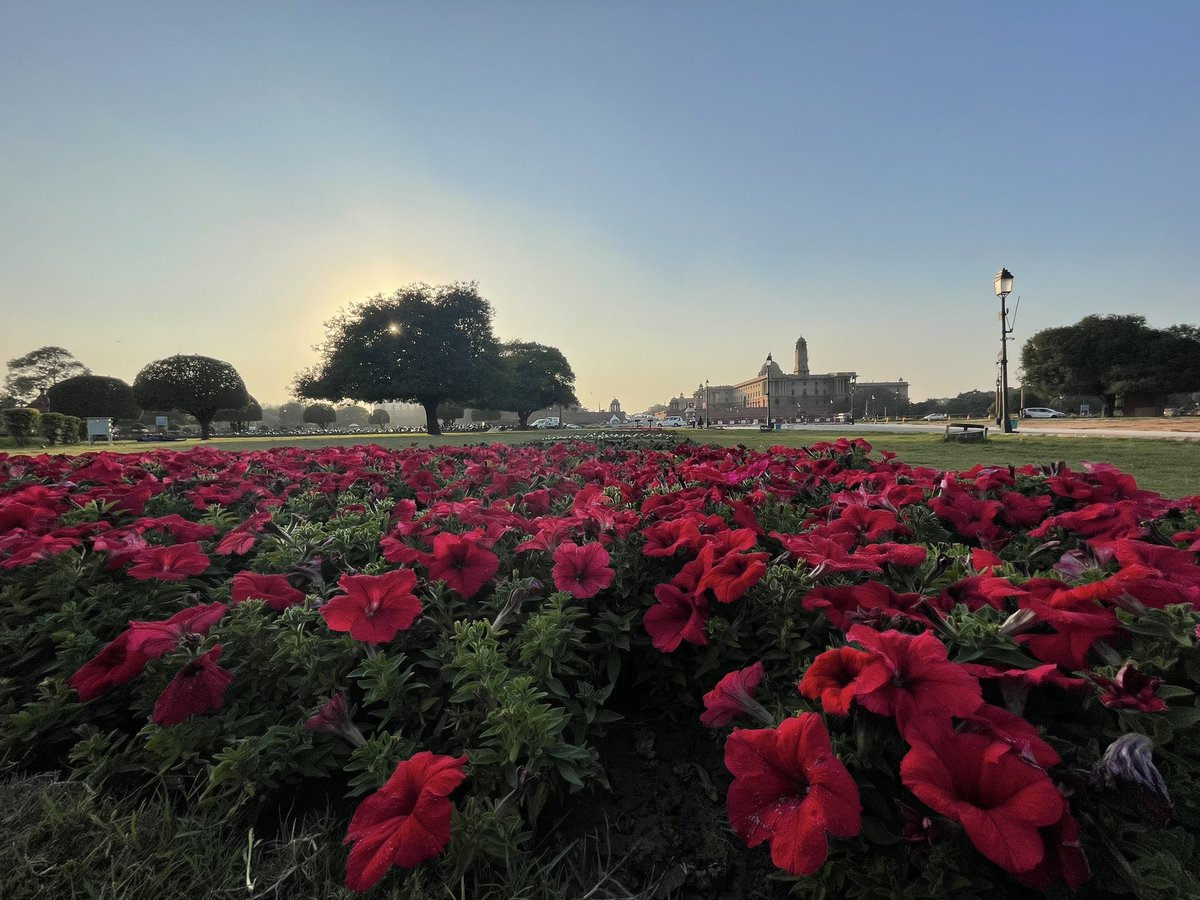 NEETAS11's tweet image. #दिल्ली - दिन है ये बहार के ! #springindelhi